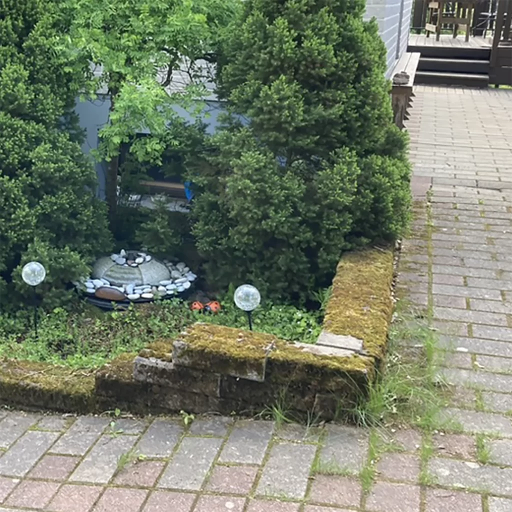 Sammaloitunut ja liikakasvanut kiveys ja kukkapenkki