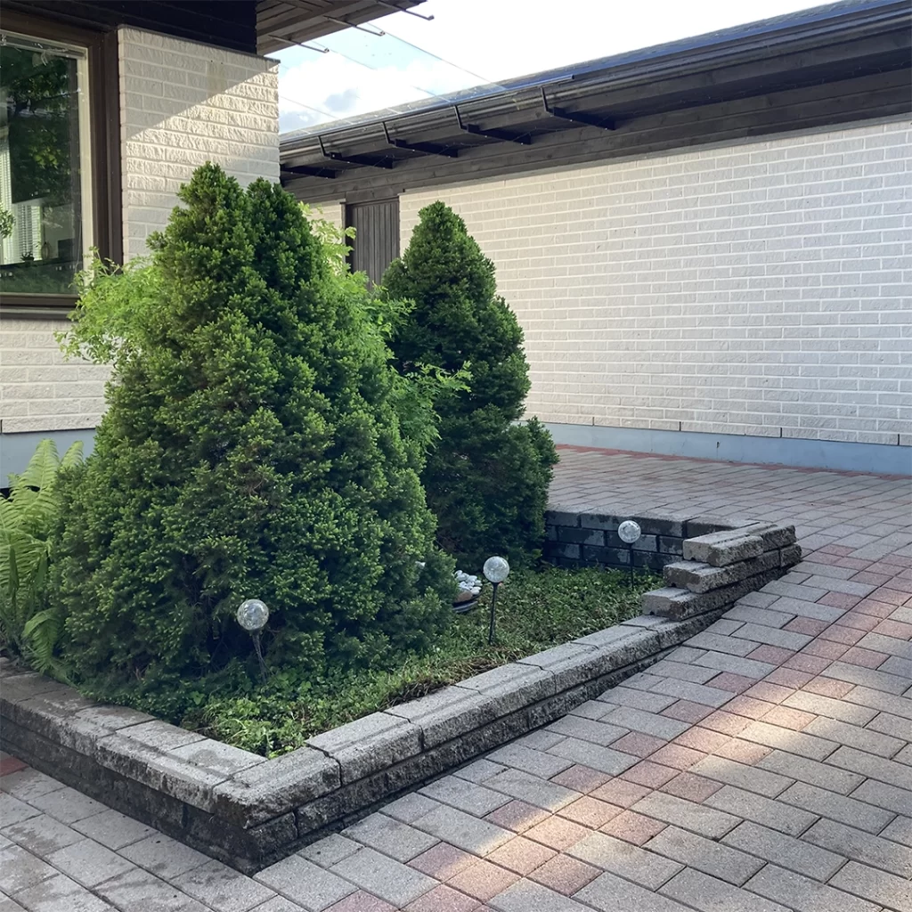 Bintan puhdistama ja siistimä kiveys ja kukkapenkki omakotitalon pihassa