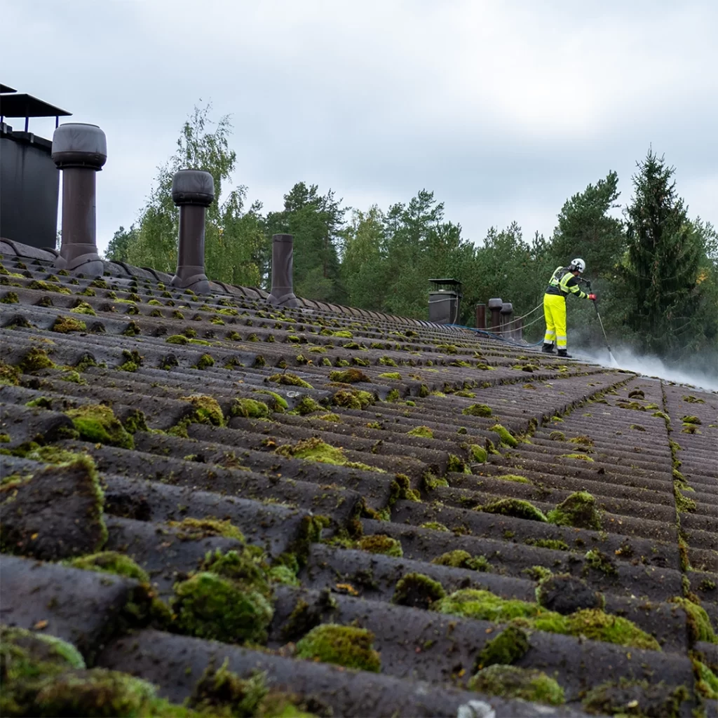 Hyvin sammaloitunut rivitalon katto jota Bintan työntekijä on juuri pesemässä suojavarusteissa